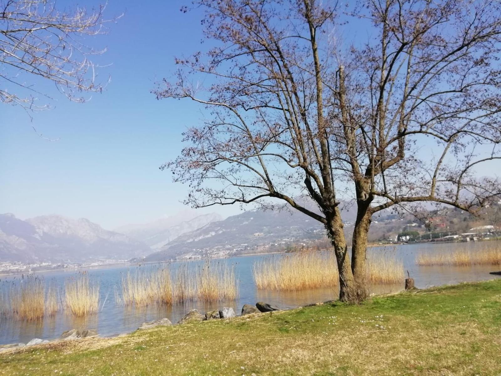 La Poesia Del Lago Oggiono Екстер'єр фото